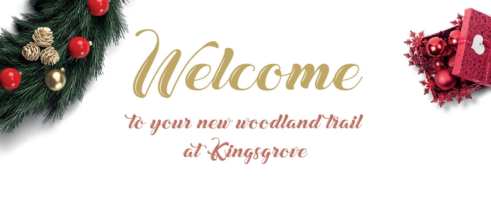 Woodland Walk and Christmas Trail