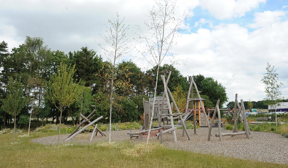 Kingsgrove: a place to play and grow